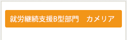 就労継続支援B型部門カメリア