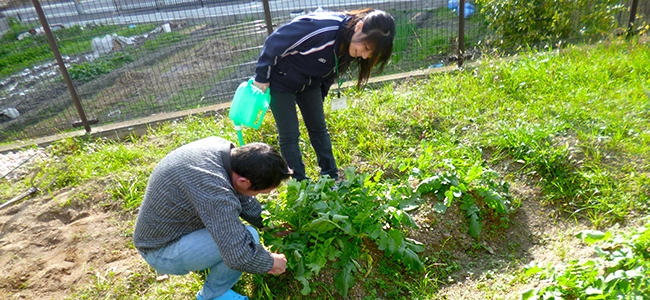 ご利用のご案内